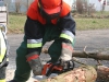 rgang Truppmann / Truppfrau 2012, Bild 4