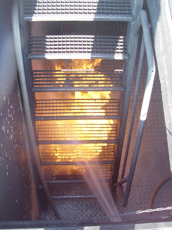 brandcontainer_tag3_19
