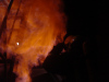 brandcontainer_tag3_53