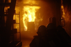 brandcontainer_tag3_65